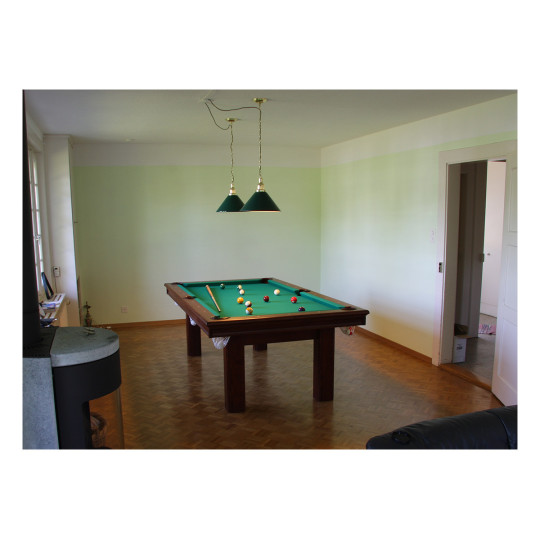 LAMPE DE BILLARD LAITON/VERT