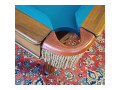 Occasion Pooltisch SAM VIENA 8' - mit Banden Sport 64. Made in Spain & Switzerland
